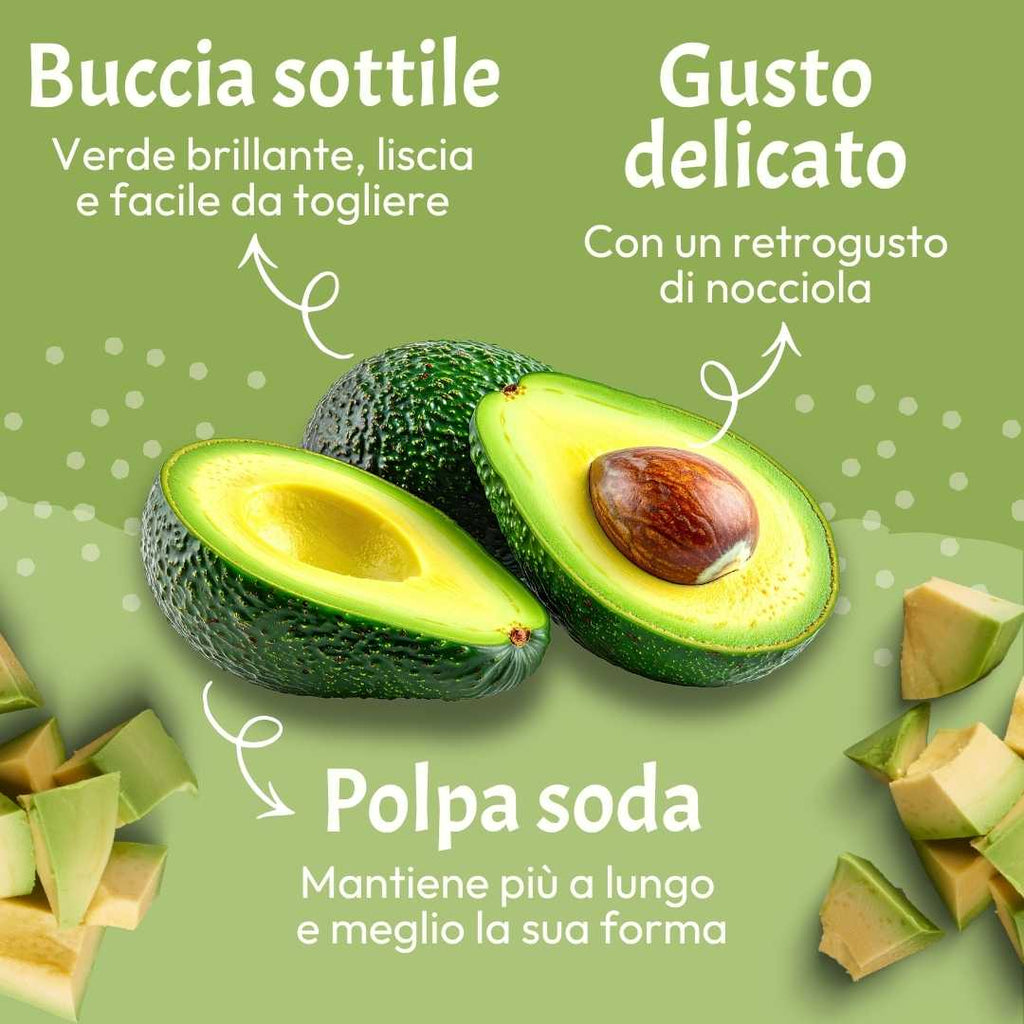 Avocado Bacon