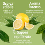 Bergamotto