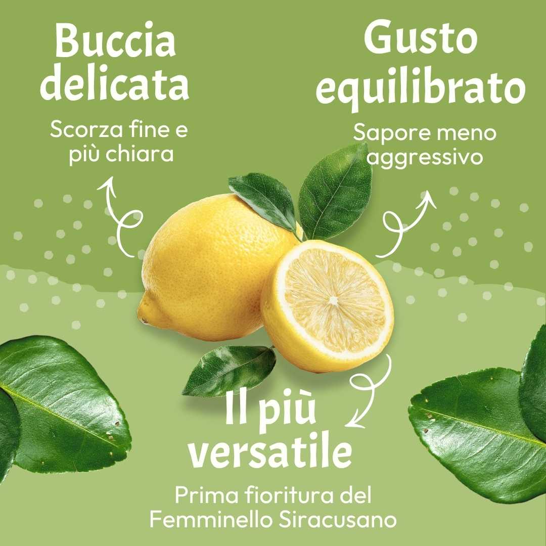 Limone Bianchetto