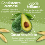 Avocado Fuerte
