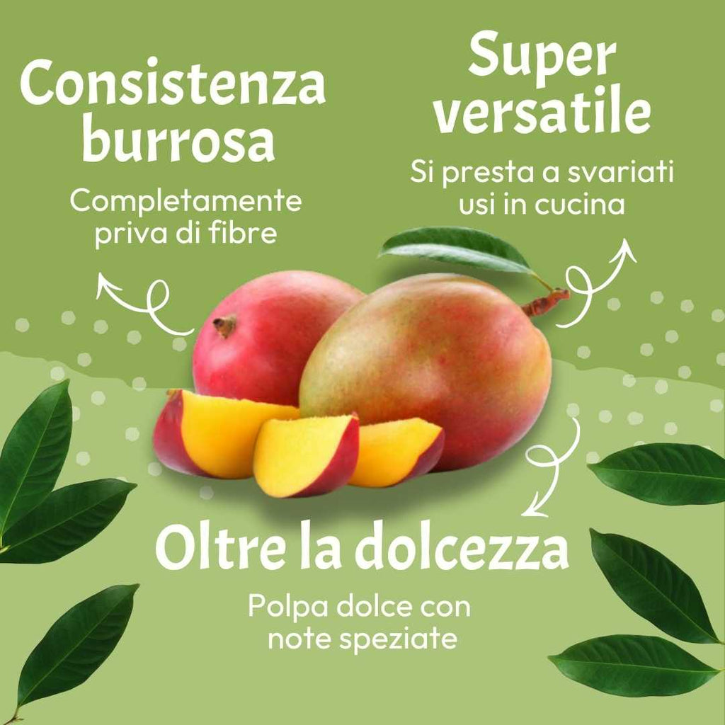Mango Kensington