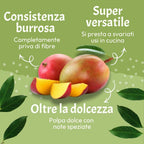 Mango Kensington