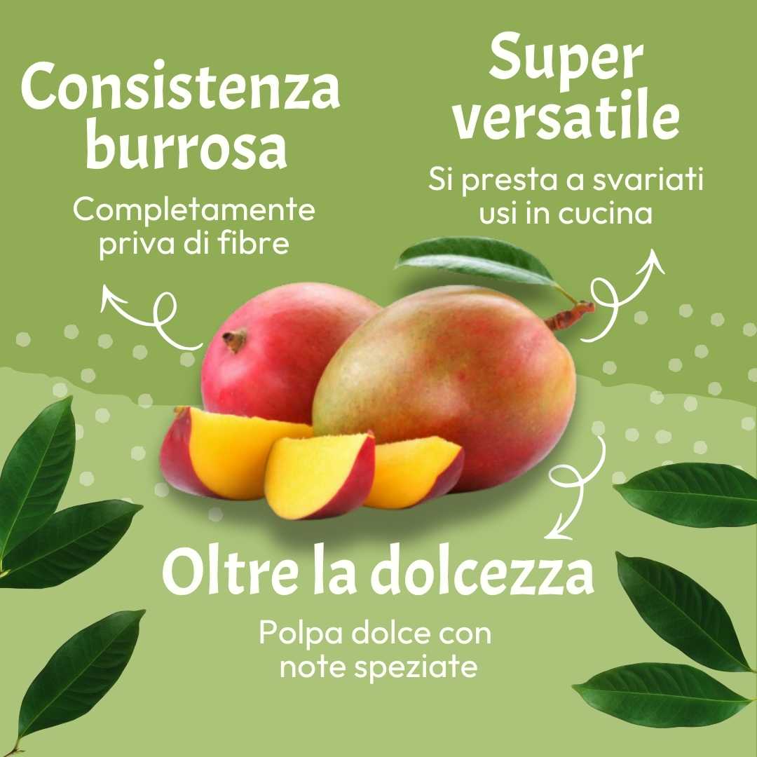 Mango Kensington