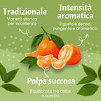 Mandarino Nostrale