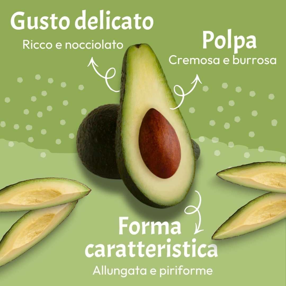 Avocado Pinkerton