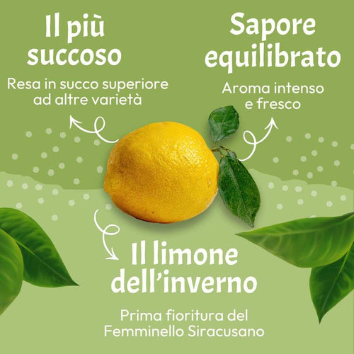 Limone Primofiore