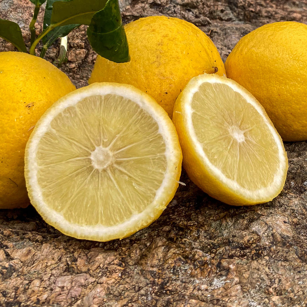 Bergamotto