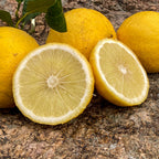 Bergamotto