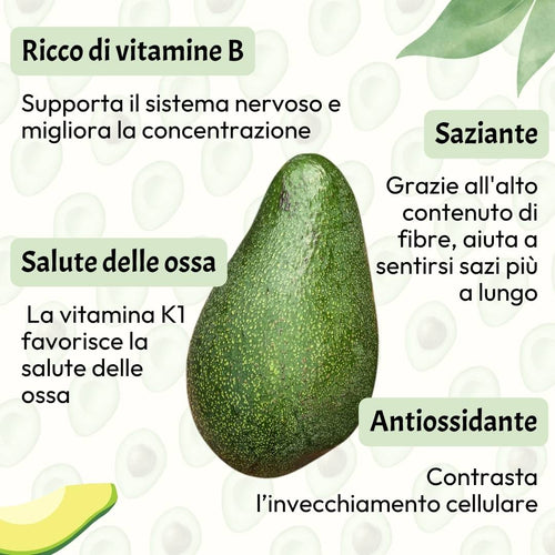 Avocado Fuerte