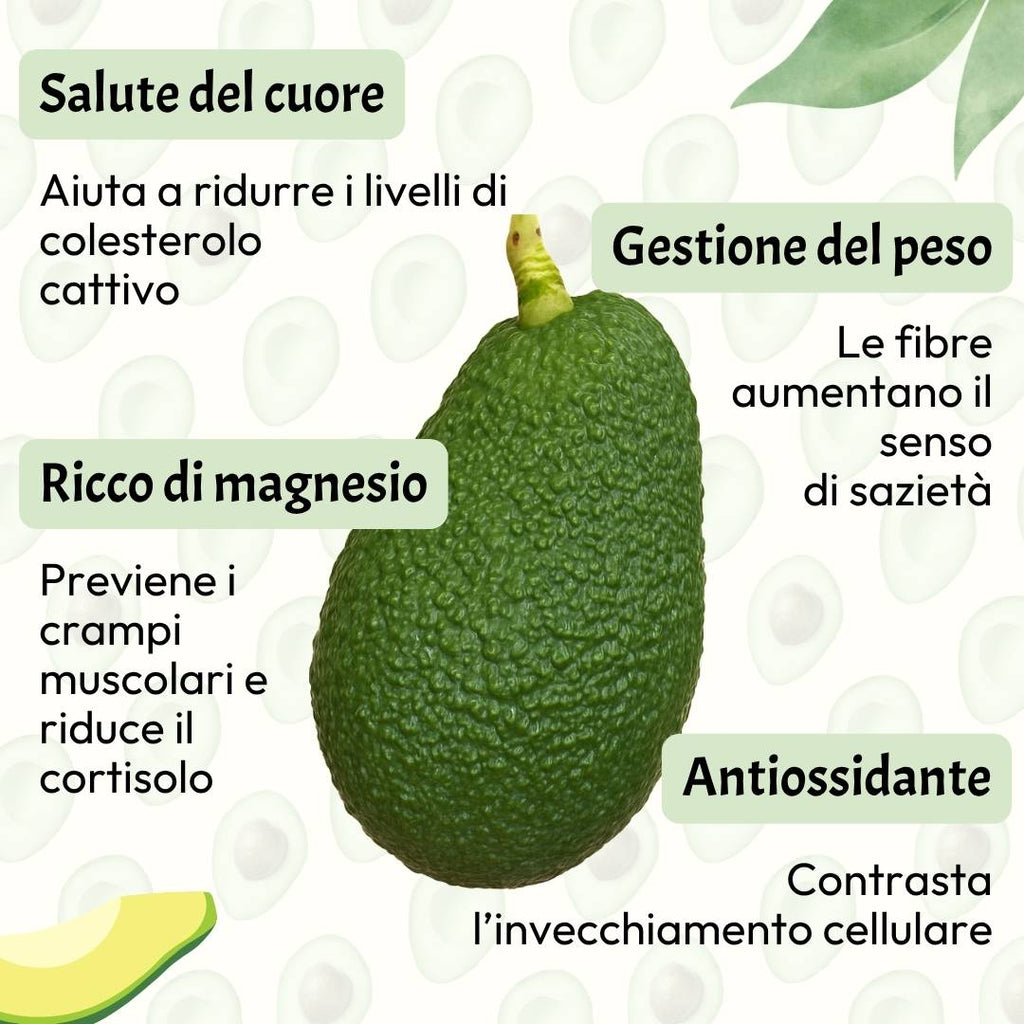 Avocado Hass