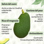 Avocado Hass