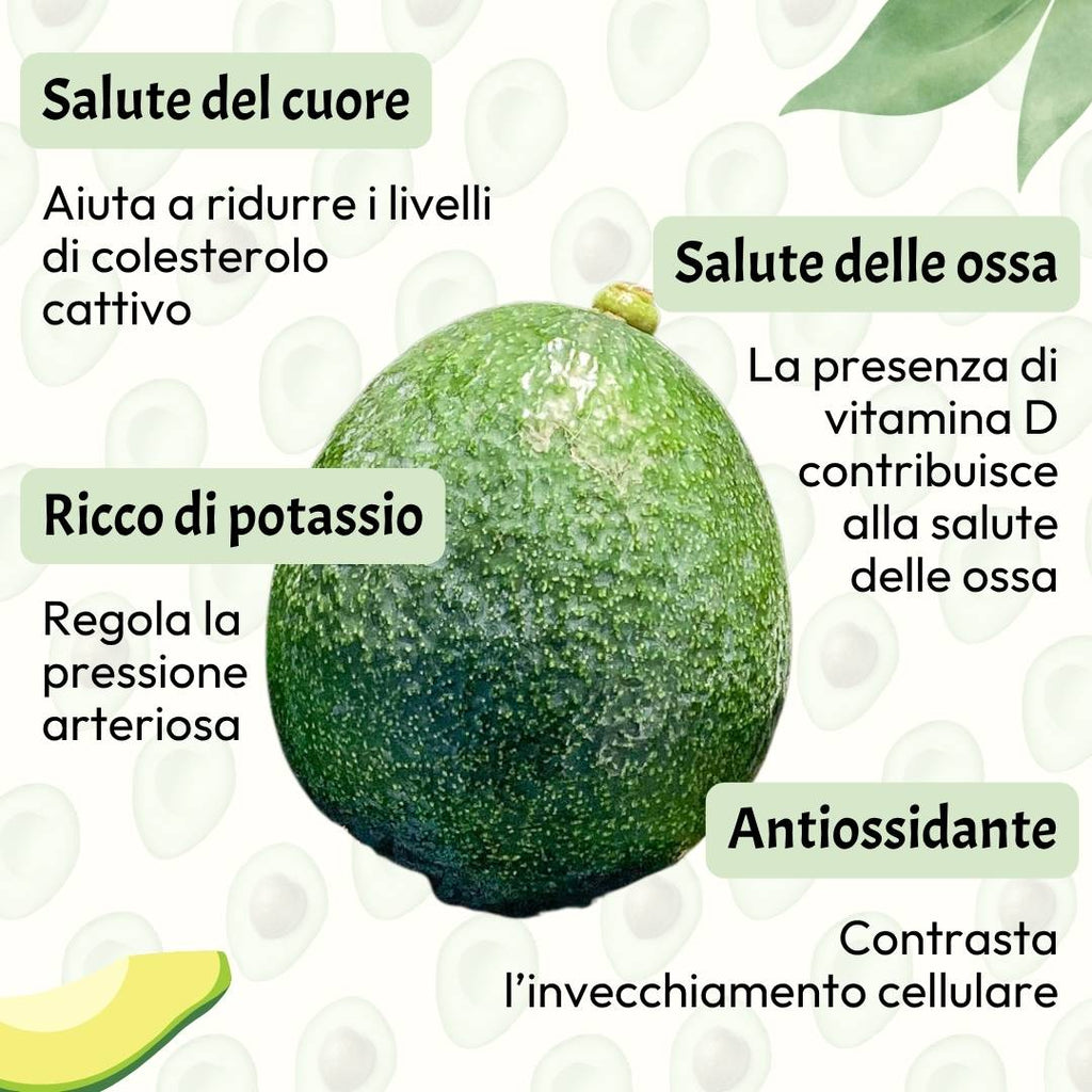 Avocado Reed