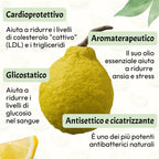 Bergamotto