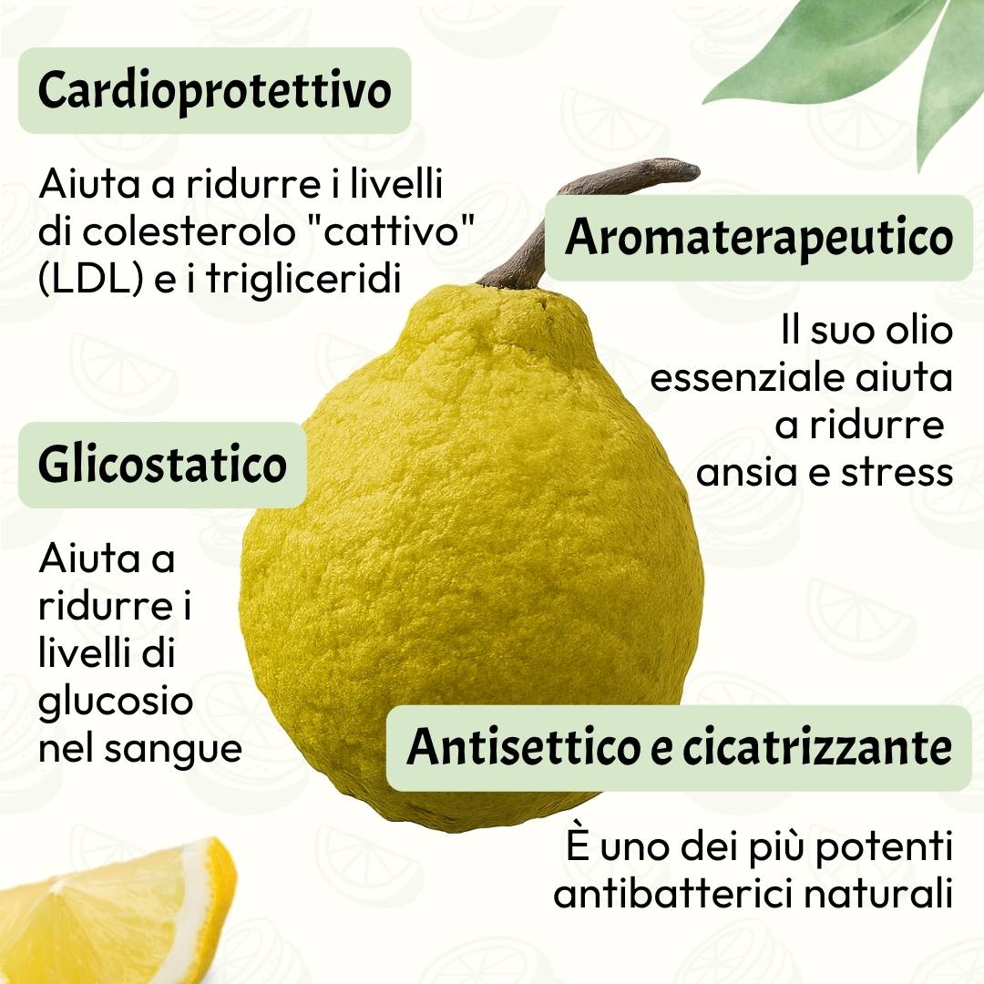 Bergamotto
