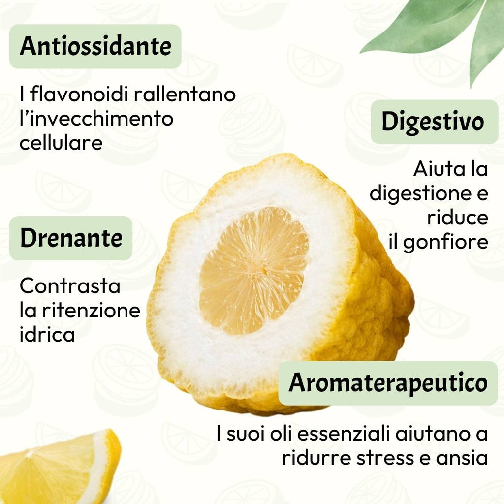 Cedro