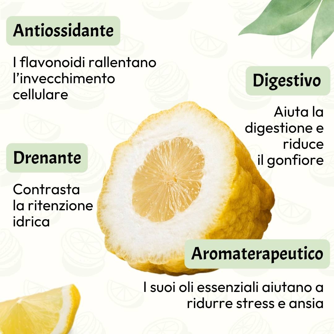Cedro