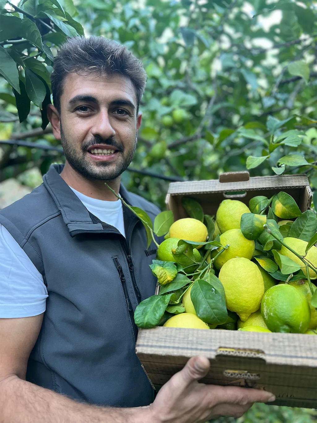 Limone Bianchetto