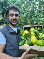 Limone Bianchetto