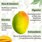 Mango Kensington