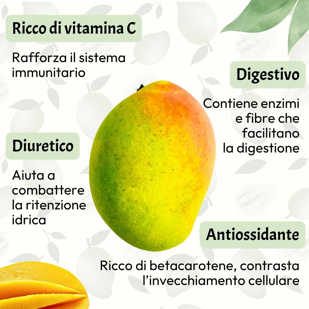 Mango Kensington
