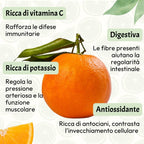 Arancia Tarocco